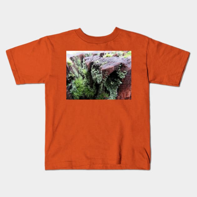 The spread Kids T-Shirt by olliehenry